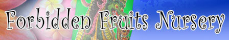 ForbiddenFruitsNursery